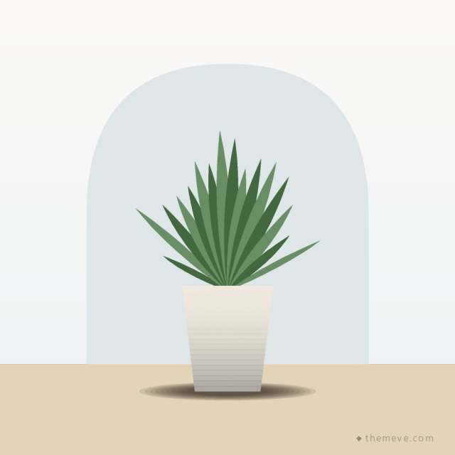 Snake Plant in Ceramic Pot